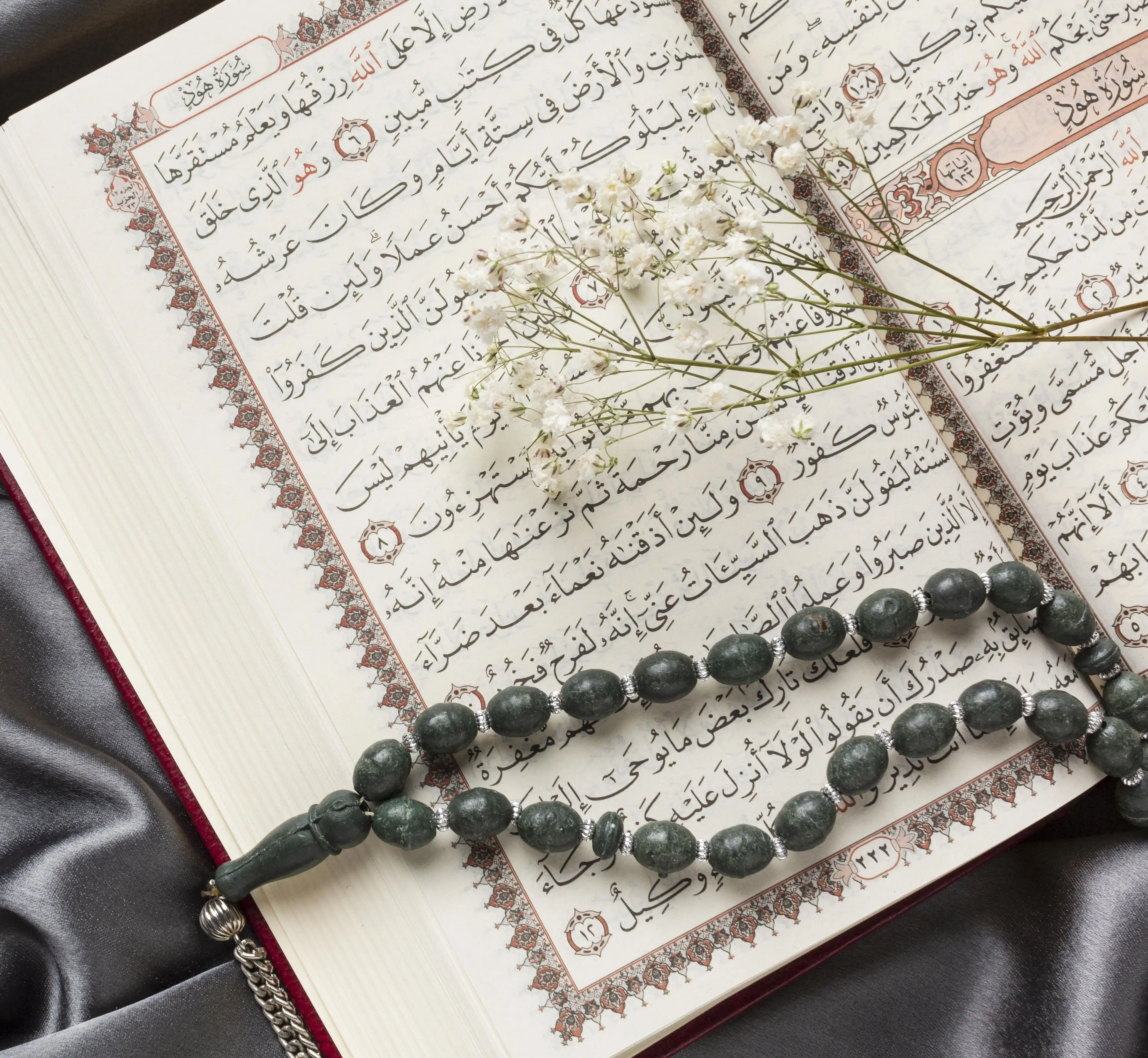 Picture of Holy Quran